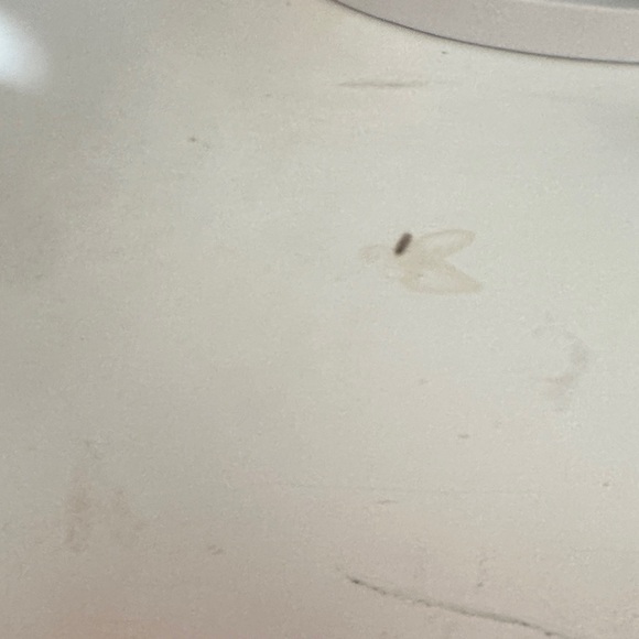 Mamacita Coral women’s hat - Picture 3 of 6